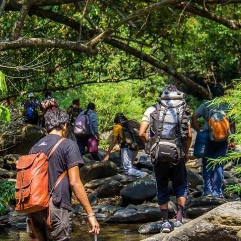 Trek to Dudhsagar Waterfalls