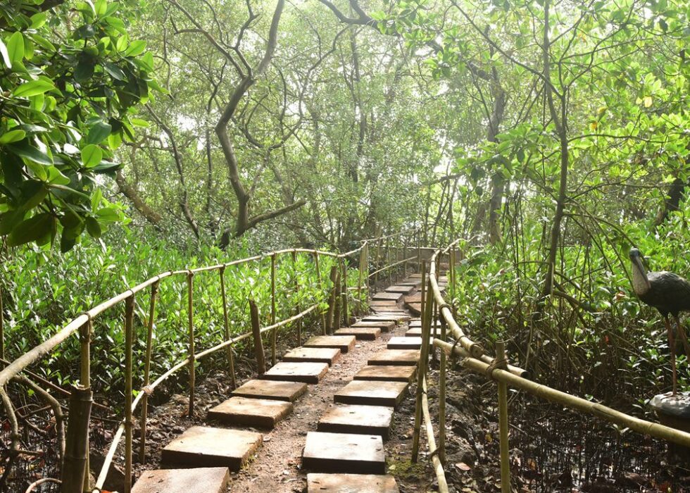 Dr. Salim Ali Bird Sanctuary